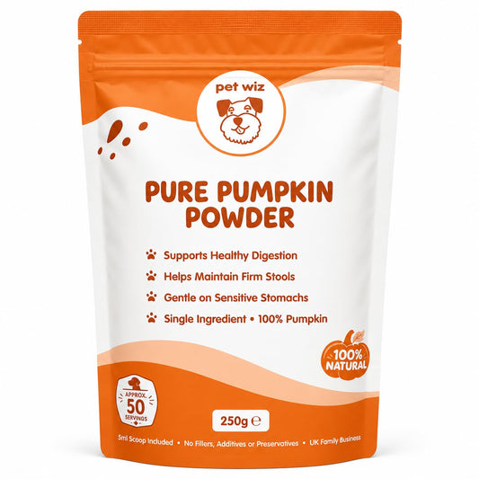 Pet Wiz Pure Pumpkin Powder for Dogs, 250g – 100% Natural Single Ingredient Complementary Pet Food, Rich in Fibre, Supports Healthy Digestion & Firm Stools, 5ml Scoop Included