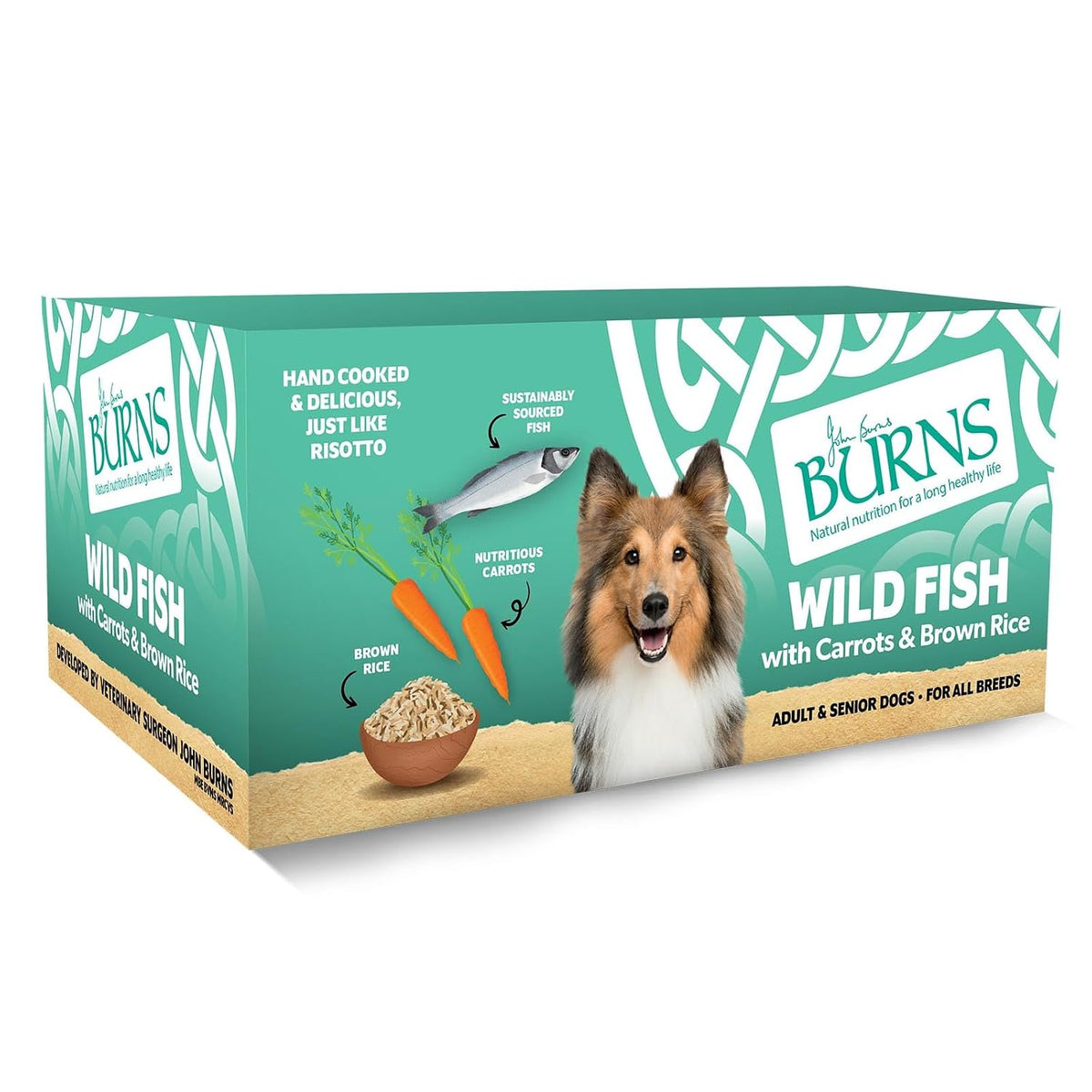 Burns Pet Natural Nutrition Adult & Senior Wet Dog Food Wild Fish, Carrots & Wholegrain Brown Rice 12 x 150gm