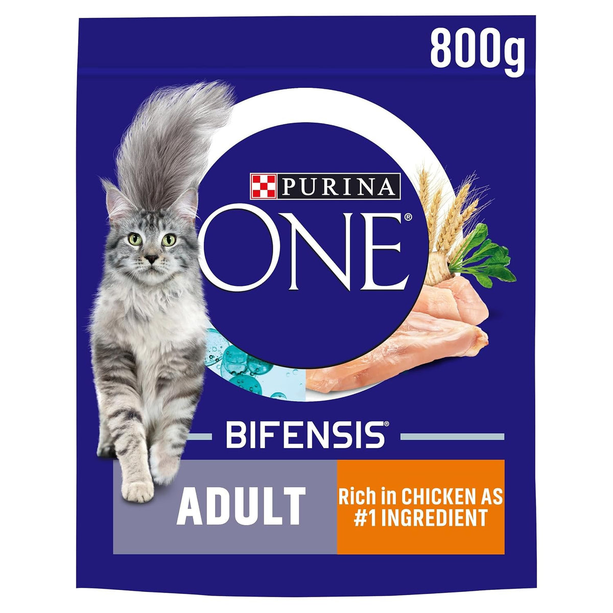 PURINA ONE Chicken Dry Cat Food, 800g